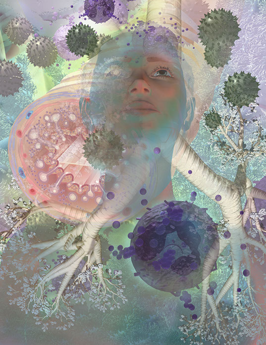 Linda Nye Interior Graphics for UCSD Biomedical Library