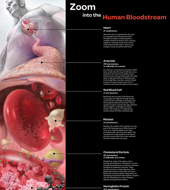 Linda Nye Interior Graphics for UCSD Biomedical Library