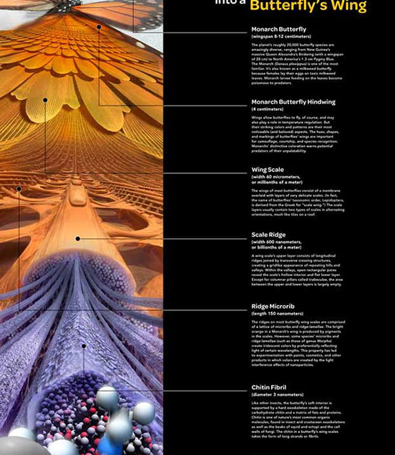 Linda Nye Interior Graphics for UCSD Biomedical Library