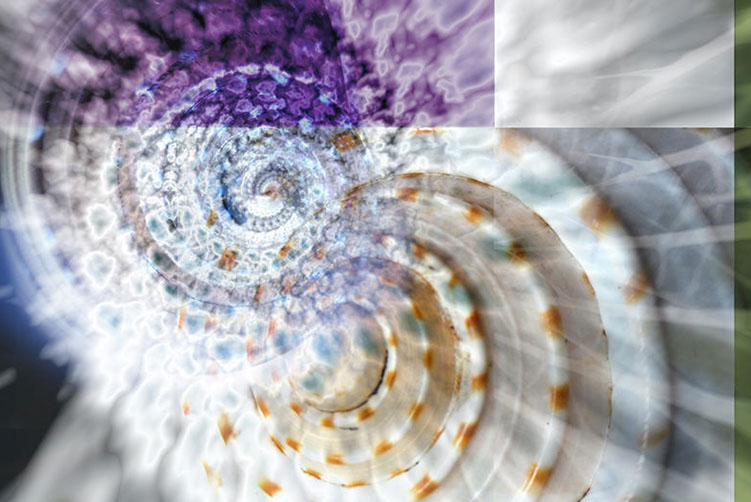 Linda Nye Photo Collage Detail from the Entrance of the UCSD Biomedical library