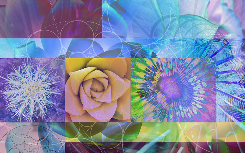 Linda Nye Photo Collage Detail from the Entrance of the UCSD Biomedical library