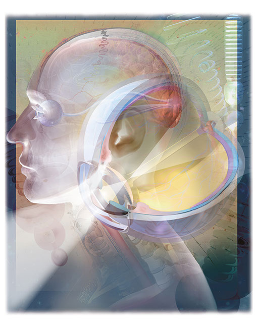 Linda Nye Illustrated Collage