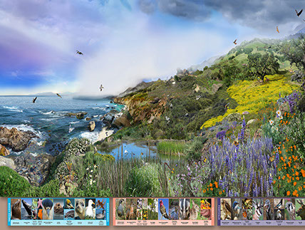 Detail from a 36' photo mural for the Lucile Packard Children's Hospital at Sanford University. Th