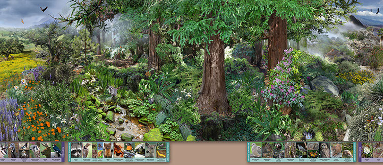A 36' photocomposite illustration of California landscapes and plants from the ocean to the mounta