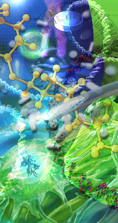 stem cells, molecules, DNA