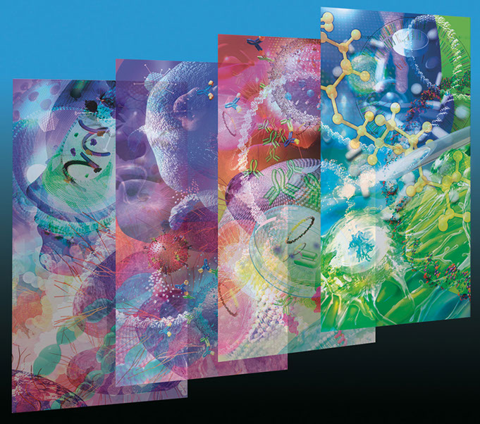 Linda Nye Interior Graphics for UCSD Biomedical Library