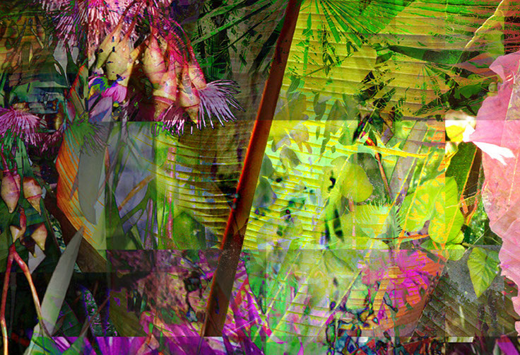 Linda Nye Photo-painting from UCSD Biomedical Library Series