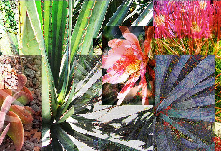 Linda Nye Photo-painting from UCSD Biomedical Library Series