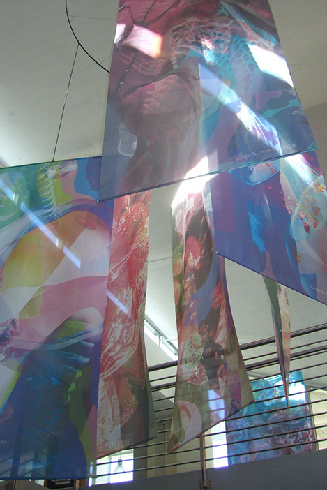 Linda Nye Interior Graphics for UCSD Biomedical Library