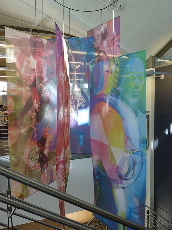 Interior Graphics for UCSD Biomedical Library